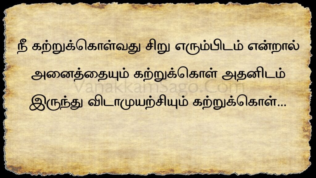 25 Brave Best Tamil Quotes to Face Challenges
